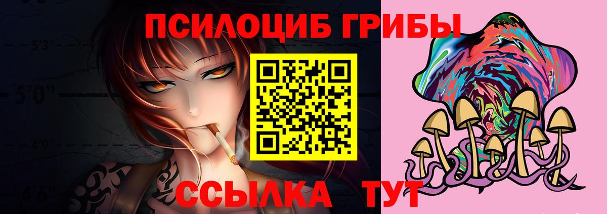 Псилоцибиновые грибы прущие грибы  Псилоцибиновые грибы мухоморы  купить наркотик  Вход с VPN  Учалы 